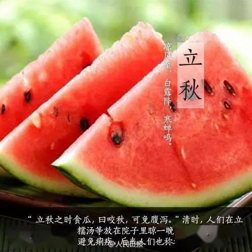 欢迎大家来瓜地免费吃,免费瓜地,等你来尝 第3张 欢迎大家来瓜地免费吃,免费瓜地,等你来尝 第3张